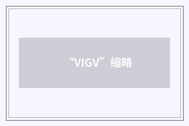 “VIGV”缩略