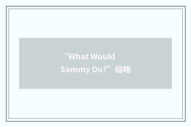 “What Would Sammy Do?”缩略