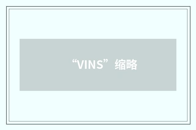 “VINS”缩略