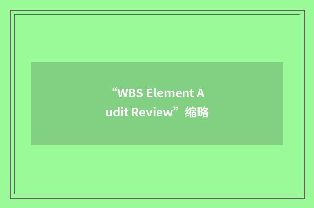 “WBS Element Audit Review”缩略