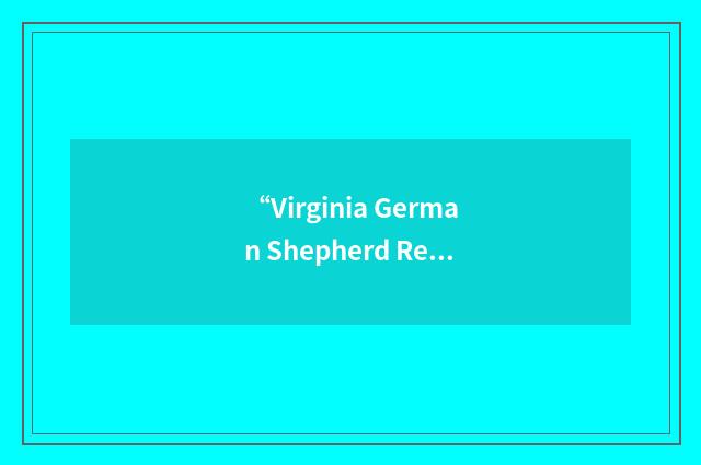 “Virginia German Shepherd Rescue”缩略