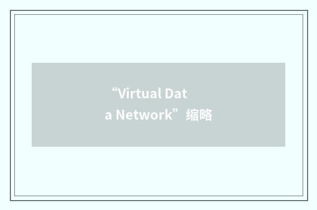 “Virtual Data Network”缩略