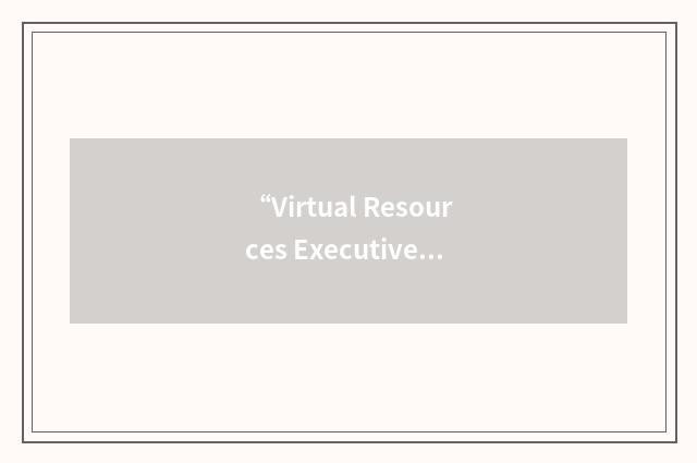 “Virtual Resources Executive”缩略