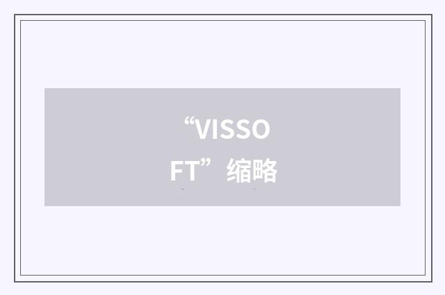 “VISSOFT”缩略