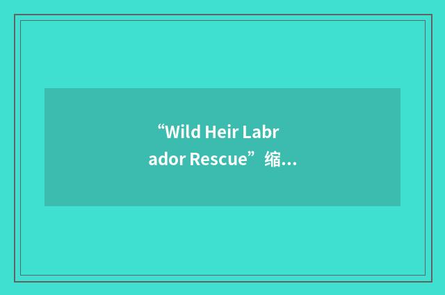 “Wild Heir Labrador Rescue”缩略