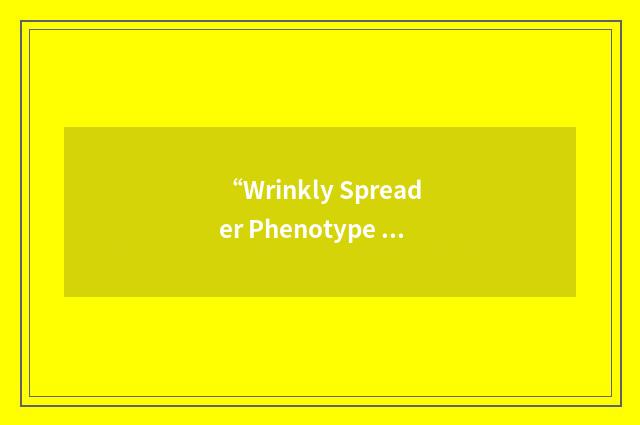 “Wrinkly Spreader Phenotype Regulator”缩略