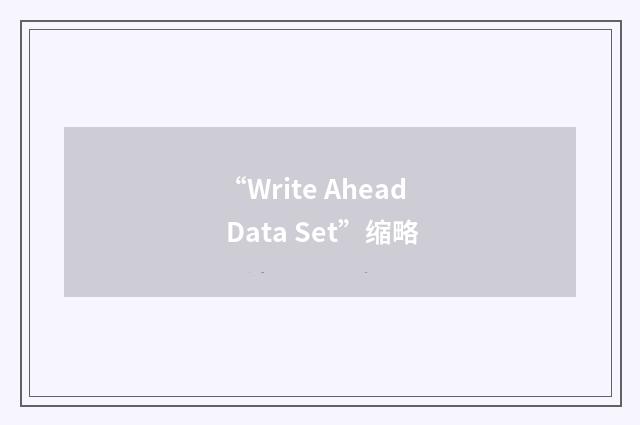 “Write Ahead Data Set”缩略