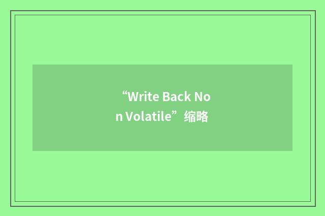 “Write Back Non Volatile”缩略