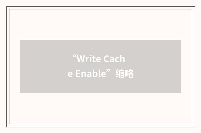 “Write Cache Enable”缩略