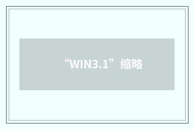 “WIN3.1”缩略