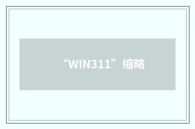 “WIN311”缩略