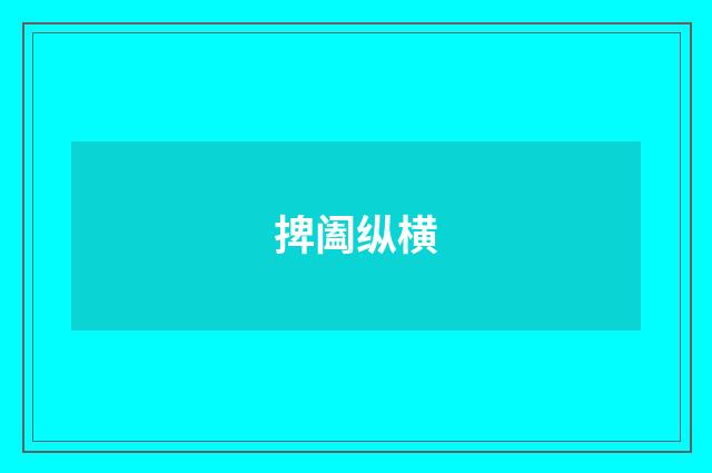 捭阖纵横