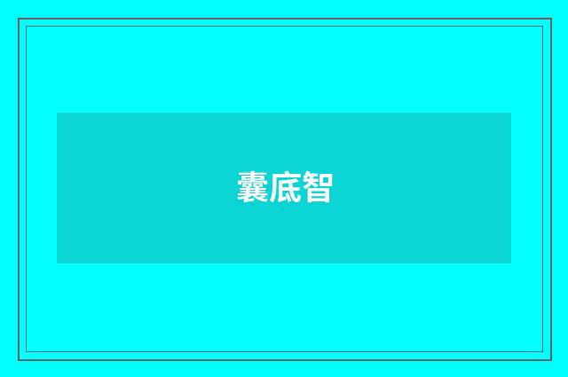 囊底智