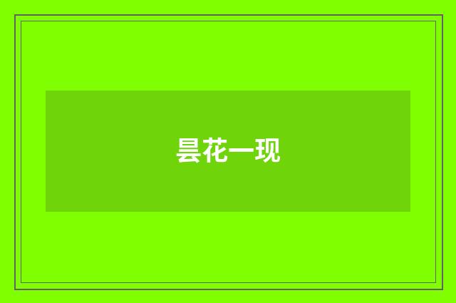 昙花一现
