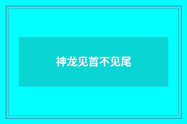 神龙见首不见尾