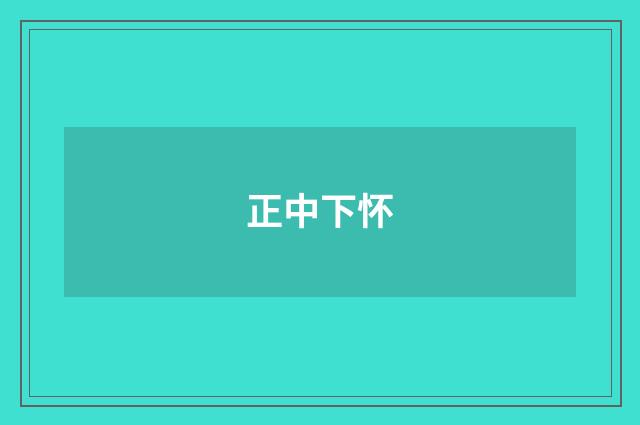 正中下怀
