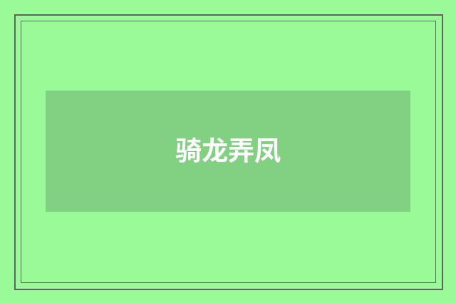 骑龙弄凤