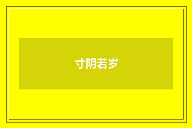 寸阴若岁