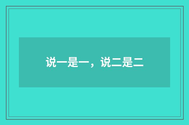 说一是一,说二是二