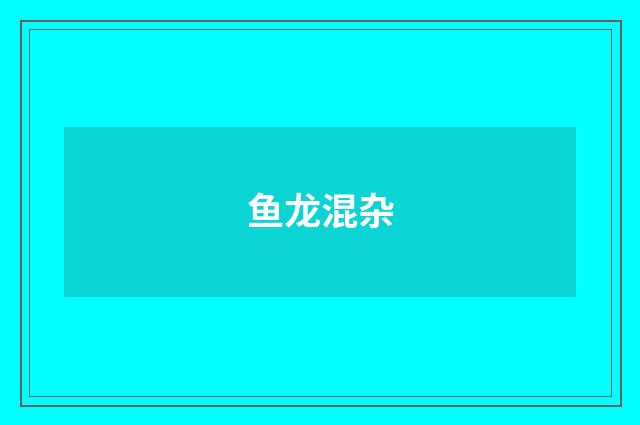 鱼龙混杂
