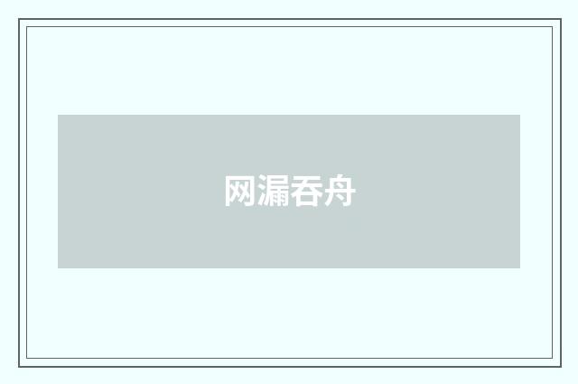网漏吞舟