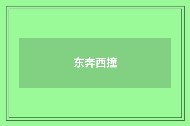 东奔西撞