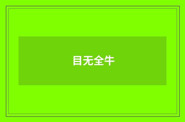 目无全牛
