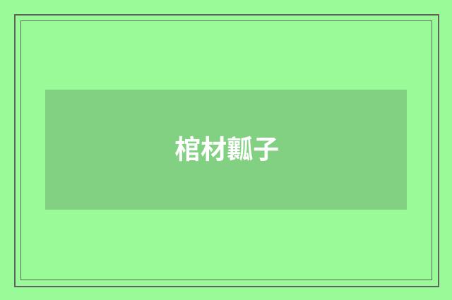 棺材瓤子