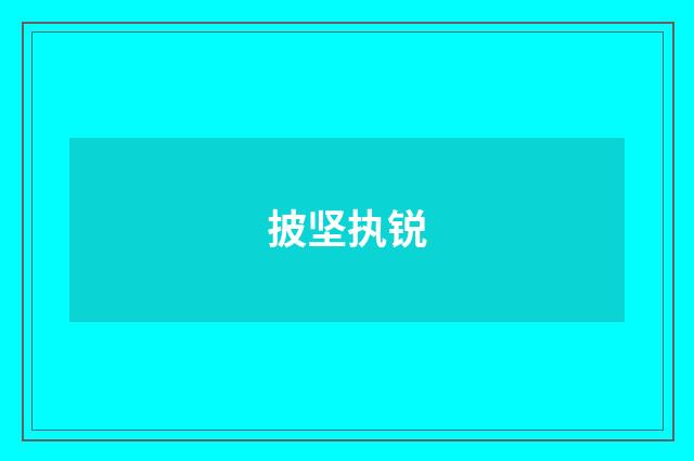 披坚执锐