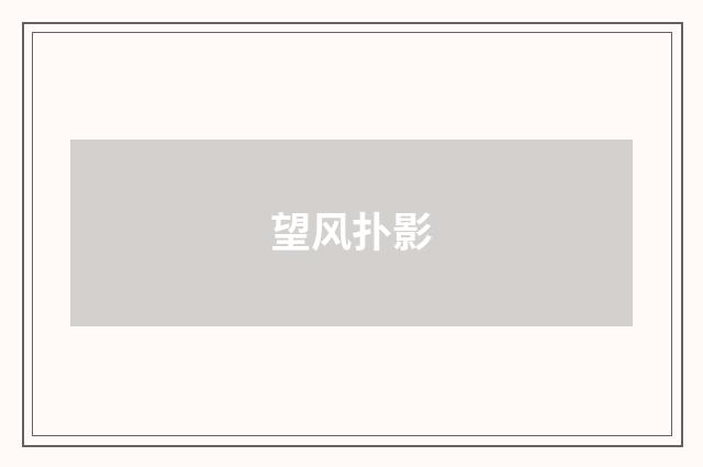 望风扑影