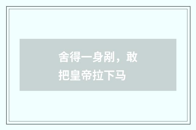 舍得一身剐,敢把皇帝拉下马