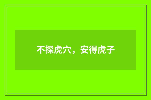 不探虎穴，安得虎子