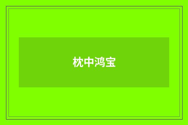 枕中鸿宝