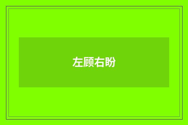 左顾右盼