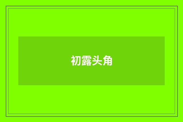 初露头角