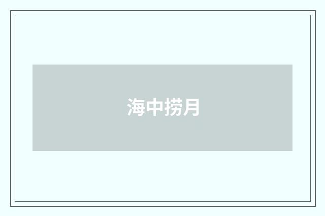 海中捞月