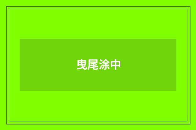 曳尾涂中