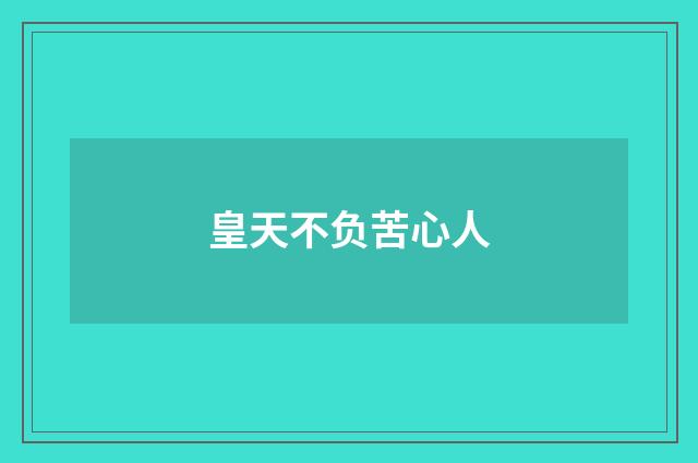 皇天不负苦心人