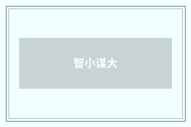 智小谋大