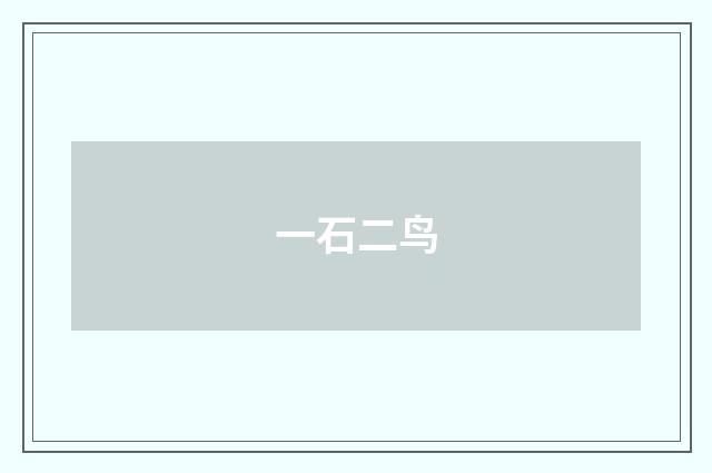 一石二鸟