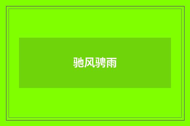 驰风骋雨