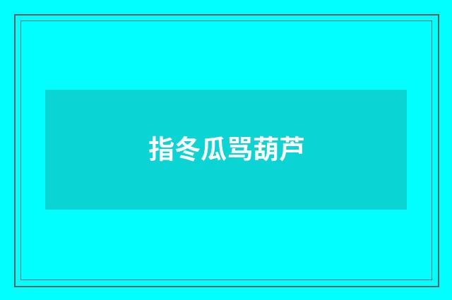 指冬瓜骂葫芦
