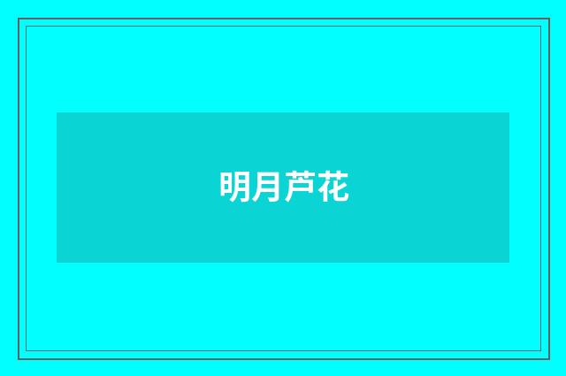 明月芦花