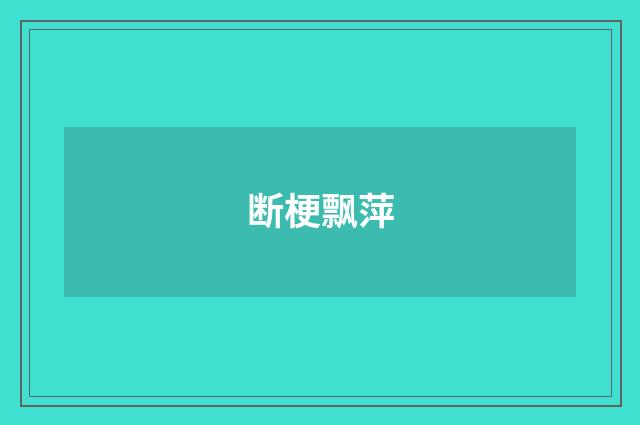 断梗飘萍