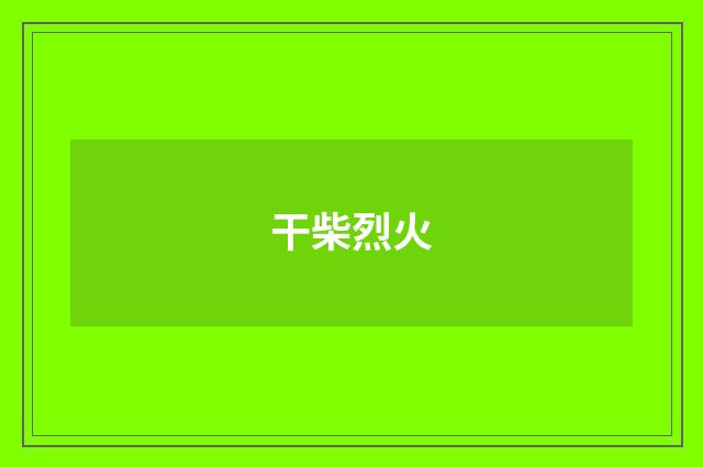 干柴烈火
