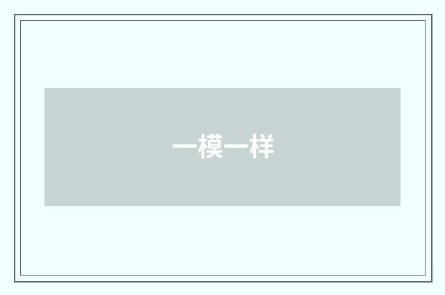一模一样