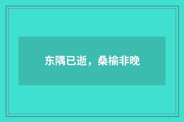 东隅已逝，桑榆非晚