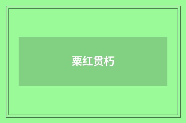粟红贯朽