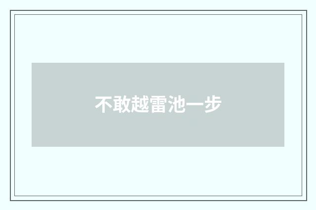 不敢越雷池一步