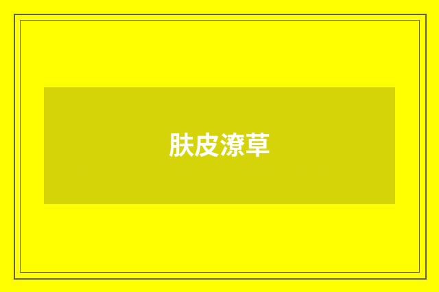 肤皮潦草